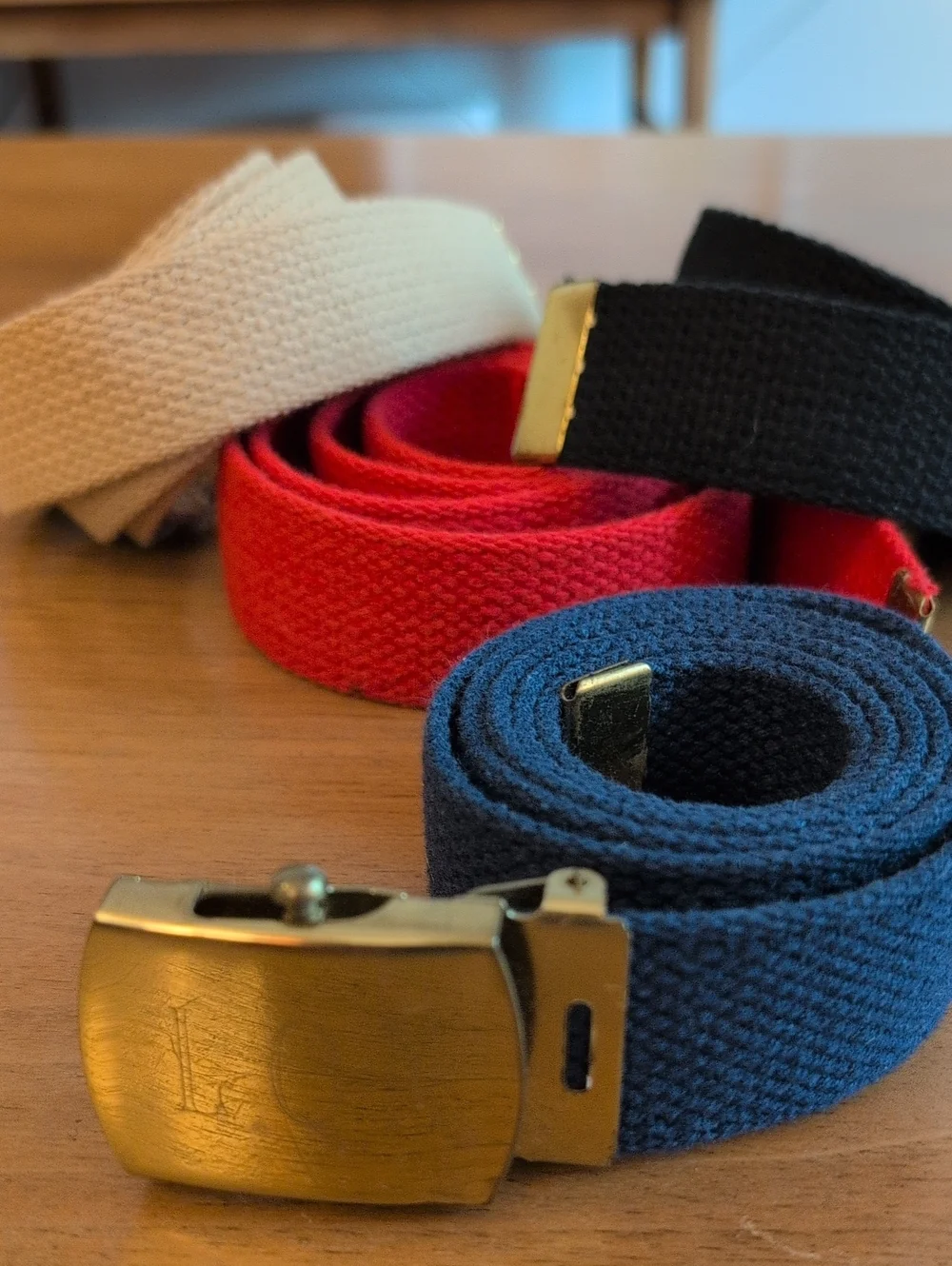 1980's Women's Canvas Adjustable Web Belt Set - Blue, Red, Black, Tan